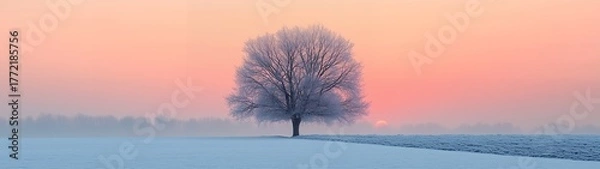 Fototapeta Minimalist winter snow landscape with pink sky and snow covered field, distant trees and small moon, soft pastel colors, peaceful serene atmosphere, wide perspective