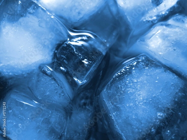 Fototapeta ice cubes blue