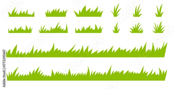 Fototapeta Set of flat green grass silhouette isolated on white background. Vector illustration. 