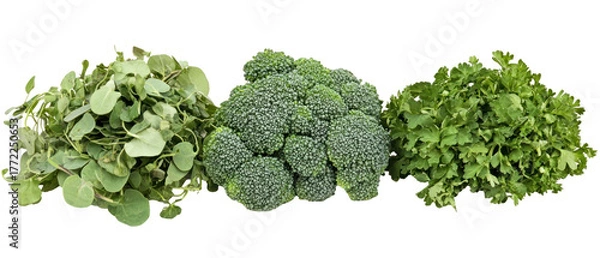 Fototapeta Assortment of Green Vegetables on Transparent Background Broccoli Kale and Watercress Displayed with Detailed Texture