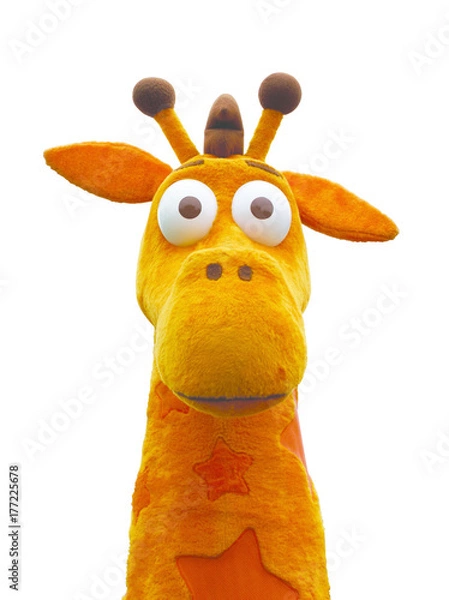 Obraz Yellow Giraffe Galore 