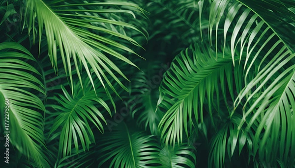 Fototapeta Lush green palm leaves create a vibrant backdrop in a tropical garden during a sunny day Generative AI