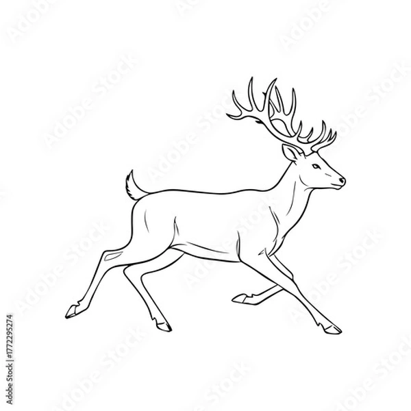 Fototapeta Running Deer Silhouette Vector Art