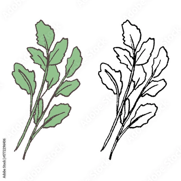 Obraz 手描きのせり