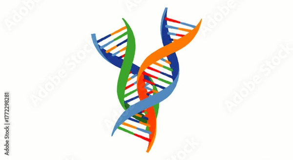 Fototapeta A colorful 2D illustration of intertwined DNA double helices in blue, green, orange on a white background.