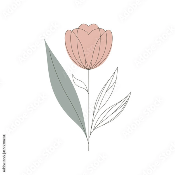 Fototapeta Botanical Line Drawing with Neutral Colors
