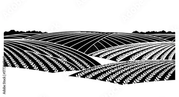 Obraz A black and white graphic illustration of rolling farm fields with contoured rows of crops.