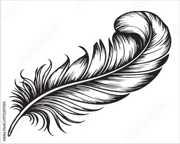 Obraz Elegant hand-drawn feather illustration with intricate line details and soft curves, symbolizing lightness, freedom, and creativity in vintage black and white ink art style
