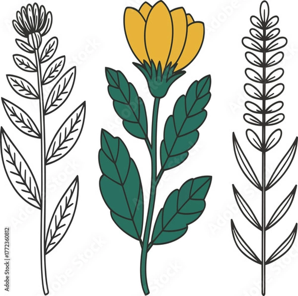 Fototapeta Elegant floral designs for spring projects with a touch of natural beauty and artistic expression