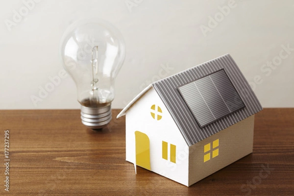 Obraz ソーラーハウスと白熱電球
