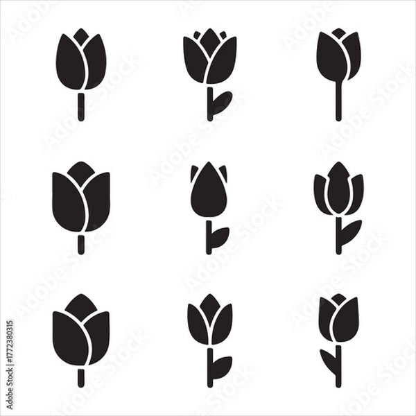 Obraz Collection of tulip flower icons for spring designs set and bundle silhouette art vector design