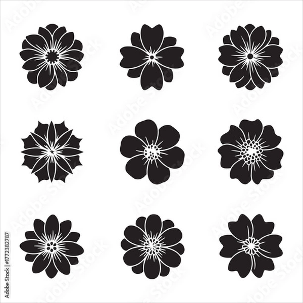 Obraz Set of nine black and white flower silhouettes, floral elements set and bundle silhouette art vector design