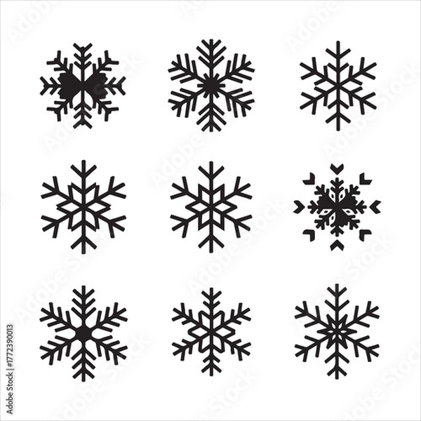 Obraz Collection of nine unique snowflake shapes for winter designs set and bundle silhouette art vector design