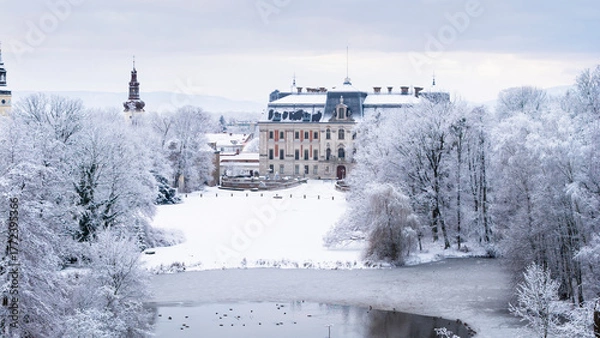 Obraz View of Pszczyna town, park and castle during a winter time