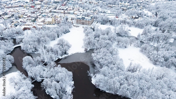 Obraz View of Pszczyna town, park and castle during a winter time