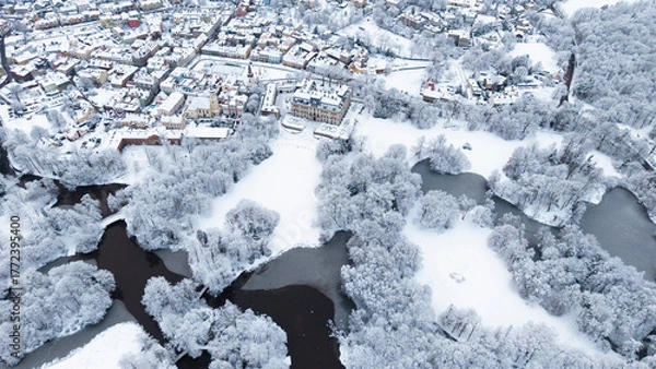 Obraz View of Pszczyna town, park and castle during a winter time