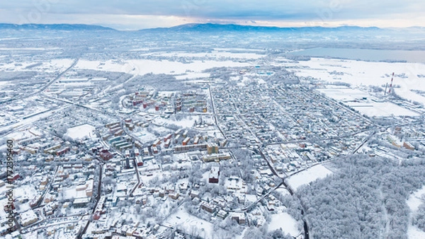 Fototapeta View of Pszczyna town, park and castle during a winter time
