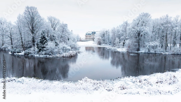 Obraz View of Pszczyna town, park and castle during a winter time
