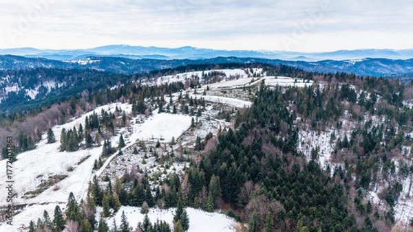 Obraz A tranquil winter panorama of Beskid Mały in southern Poland, where snowy meadows meet evergreen forests and rolling mountain hills under a serene, cloud-streaked sky.