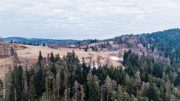 Obraz A tranquil winter panorama of Beskid Mały in southern Poland, where snowy meadows meet evergreen forests and rolling mountain hills under a serene, cloud-streaked sky.