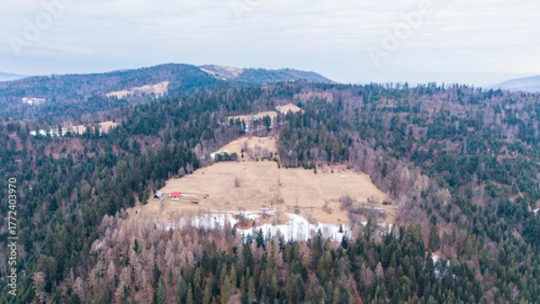 Obraz A tranquil winter panorama of Beskid Mały in southern Poland, where snowy meadows meet evergreen forests and rolling mountain hills under a serene, cloud-streaked sky.