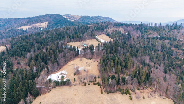 Fototapeta A tranquil winter panorama of Beskid Mały in southern Poland, where snowy meadows meet evergreen forests and rolling mountain hills under a serene, cloud-streaked sky.