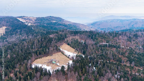 Obraz A tranquil winter panorama of Beskid Mały in southern Poland, where snowy meadows meet evergreen forests and rolling mountain hills under a serene, cloud-streaked sky.