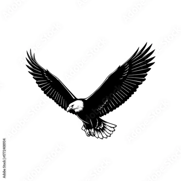 Fototapeta Flying Eagle Silhouette Vector Art