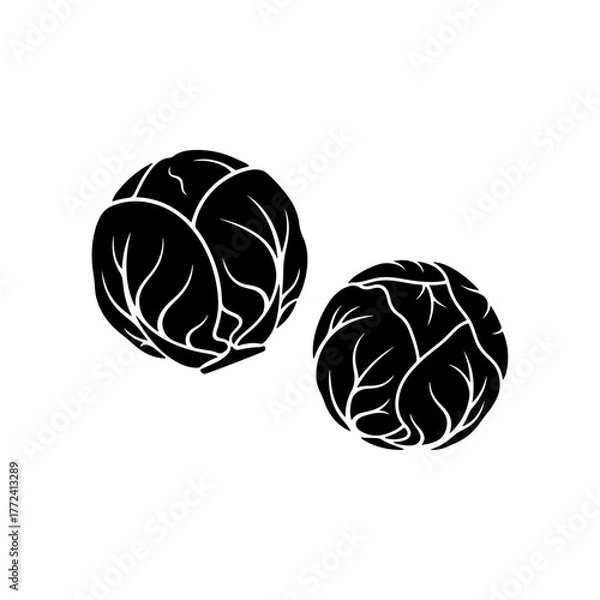 Fototapeta Two Black Silhouette Brussels Sprouts Organic Healthy Vegetables Isolated on White Background, Raw Food Ingredient