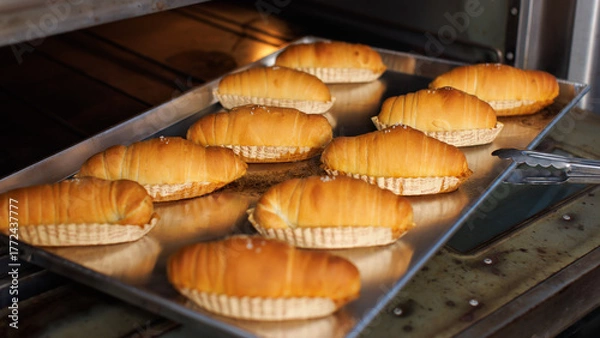 Fototapeta Freshly baked salted butter roll bread on baking tray inside oven, Golden brown texture homemade bakery concept, warm and delicious pastry background, ready to serve buns in small local bakery kitchen