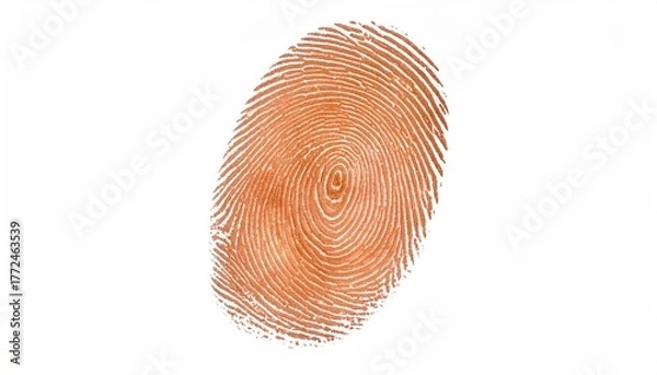 Obraz Oily Fingerprint Loop on White Background