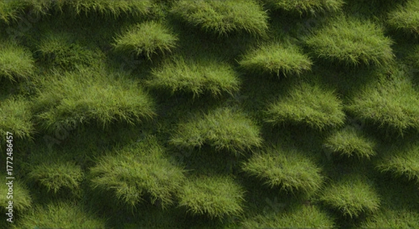 Fototapeta green grass background