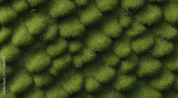 Fototapeta green moss background