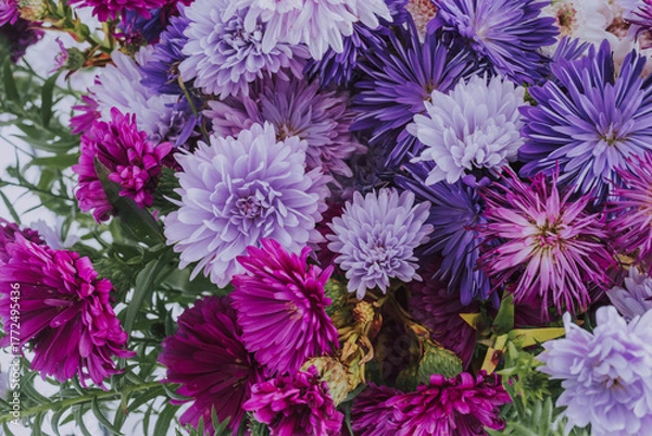 Fototapeta Close-up of colourful aster flowers and chrysanthemums in a bouquet