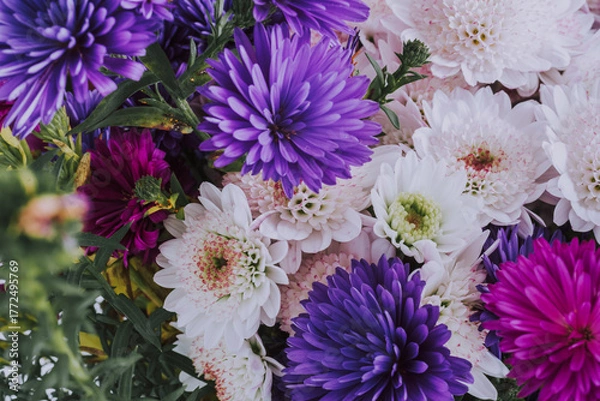 Fototapeta Close-up of colourful aster flowers and chrysanthemums in a bouquet