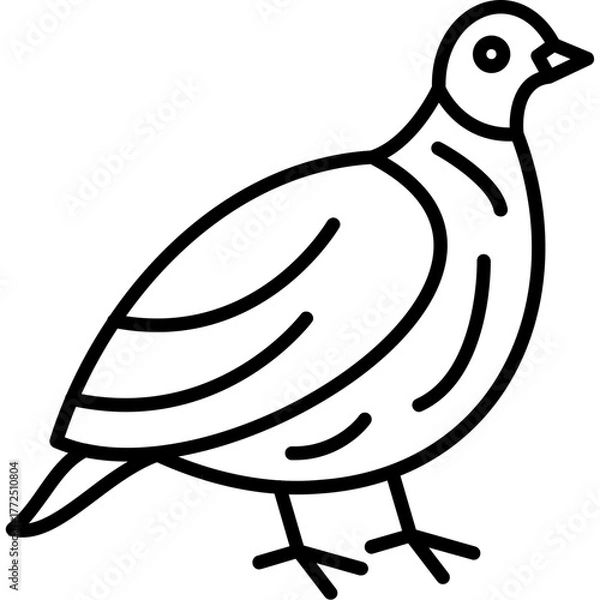 Obraz Partridge Icon