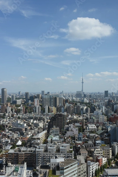 Obraz 青空と雲 と日本の東京都市景観（文京区や台東区、墨田区方面などを望む）