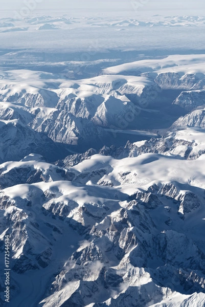 Fototapeta グリーンランドの自然　クローズアップ　縦