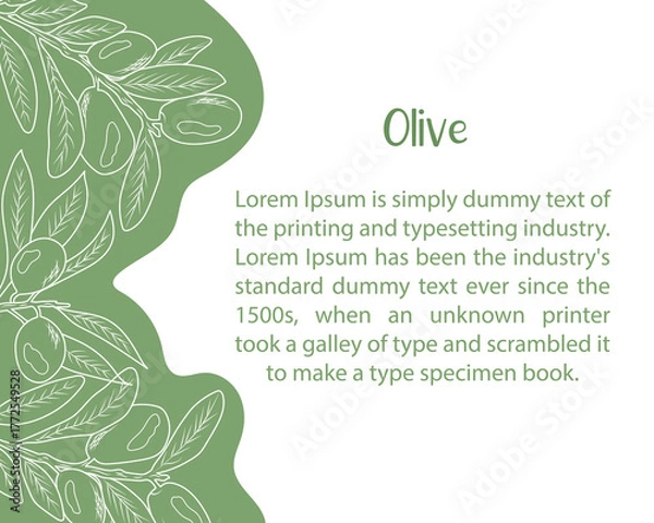 Fototapeta Elegant olive branch background with green leaves and fruits. Minimalistic botanical design for natural cosmetics, packaging, invitations, or organic product branding. Vector illustration.