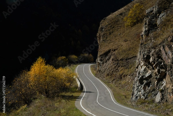 Obraz road in the desert