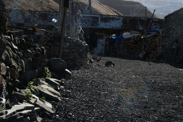 Obraz old fishing nets