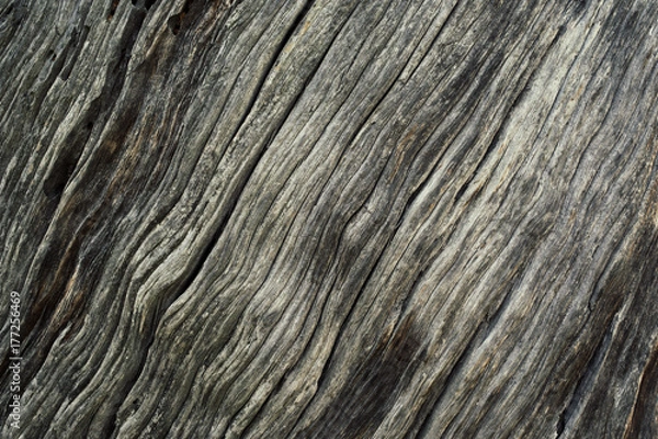 Fototapeta Wood Texture With Natural Pattern. closeup of wood texture