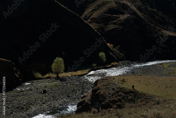 Obraz waterfall and rocks