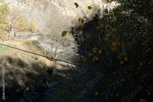 Obraz rain in the park