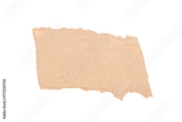 Obraz Ripped Torn Paper Piece Isolated Recycled Texture On Transparent Background