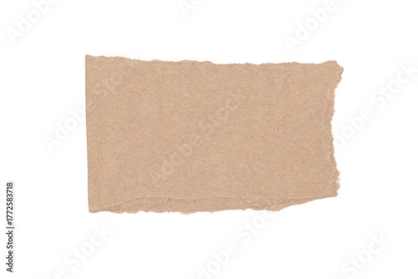Obraz Ripped Torn Paper Piece Isolated Recycled Texture On Transparent Background