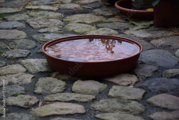 Fototapeta Igeltränke