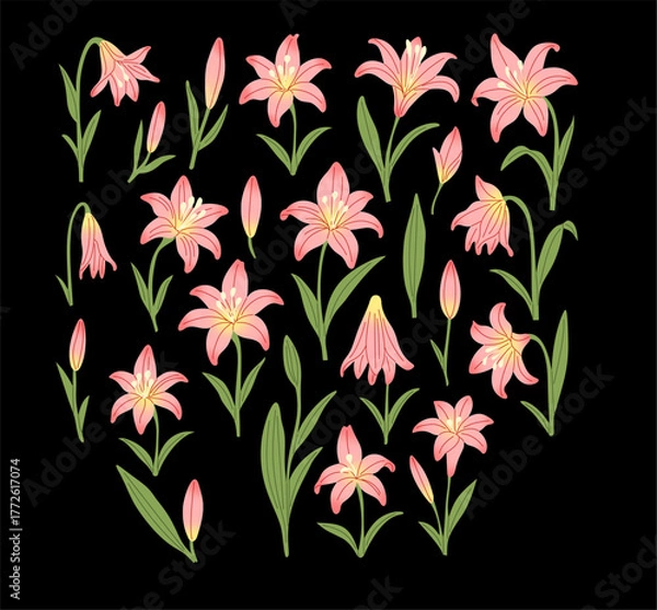 Obraz Elegant Pink Lily Floral Elements Set