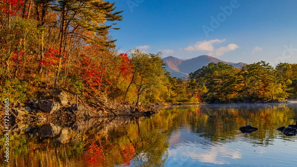 Obraz 桧原湖の鮮やかな紅葉　裏磐梯　絶景