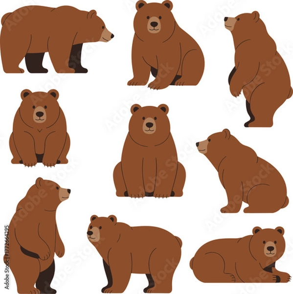 Fototapeta Cartoon brown bear poses, cute wild animal illustrations, sitting, standing, lying down, forest wildlife character set, isolated vector graphics